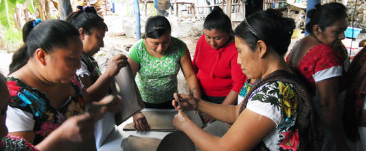 Collaborating to Help Indigenous Communities in Mexico